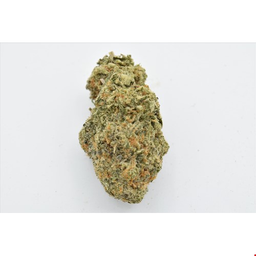sour amnesia haze bee.JPG